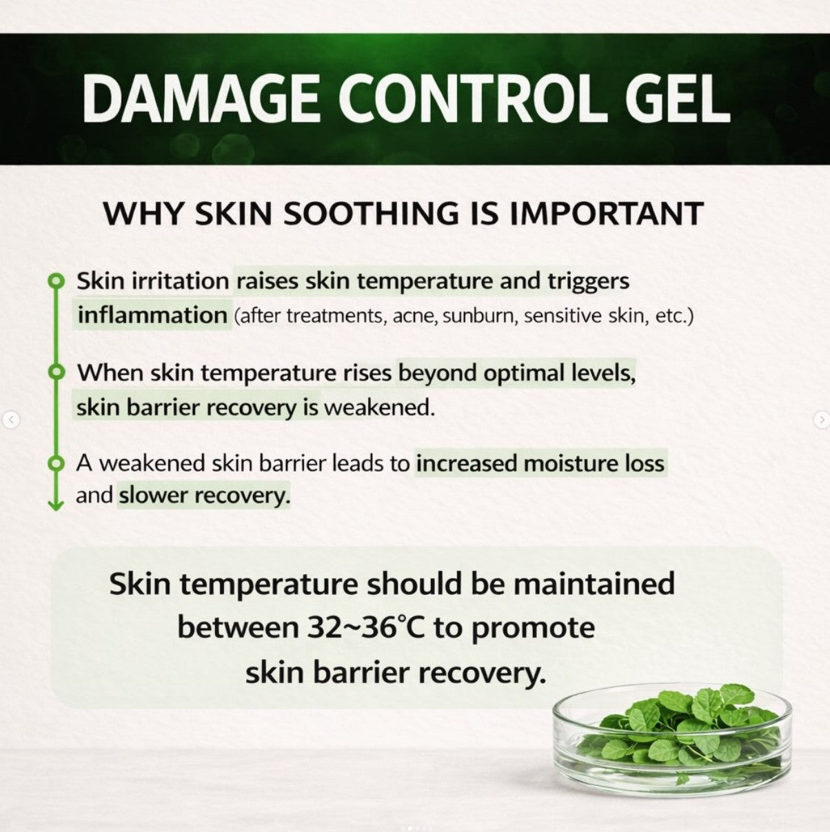 Reracine Damage Control Gel