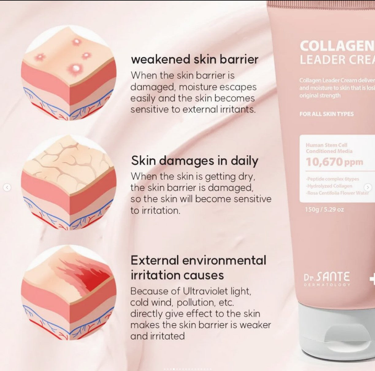 Dr. SANTE Collagen Leader Cream