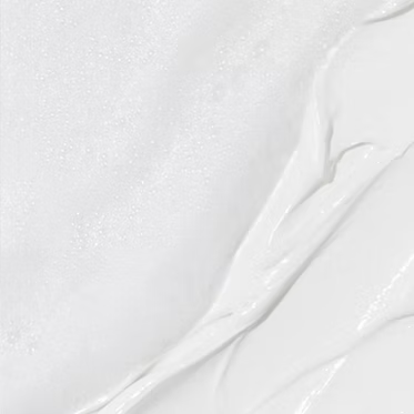 [Edview] Prestige Purifying Pack & Cleanser
